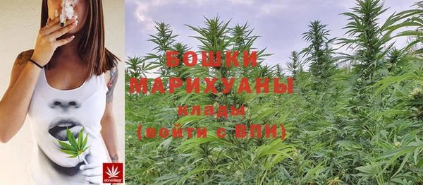 соль курить ск Богородицк
