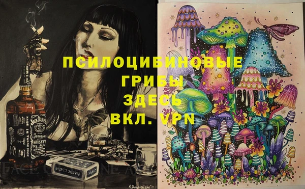 соль курить ск Богородицк
