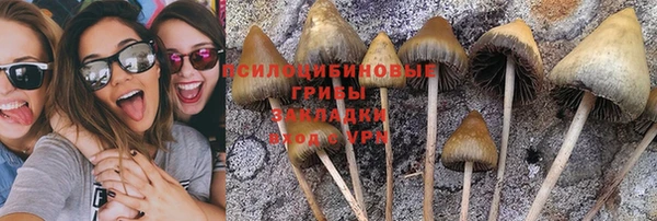 соль курить ск Богородицк