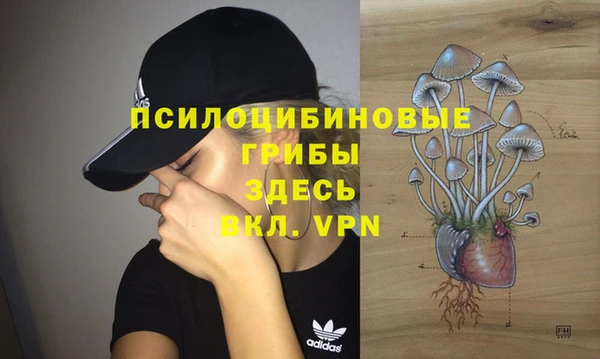 марки nbome Богданович