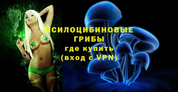соль курить ск Богородицк