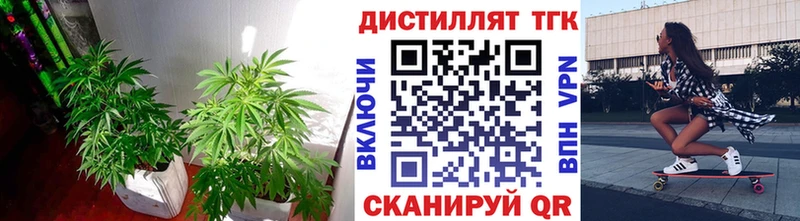 блэк спрут зеркало  Донской  Дистиллят ТГК вейп 